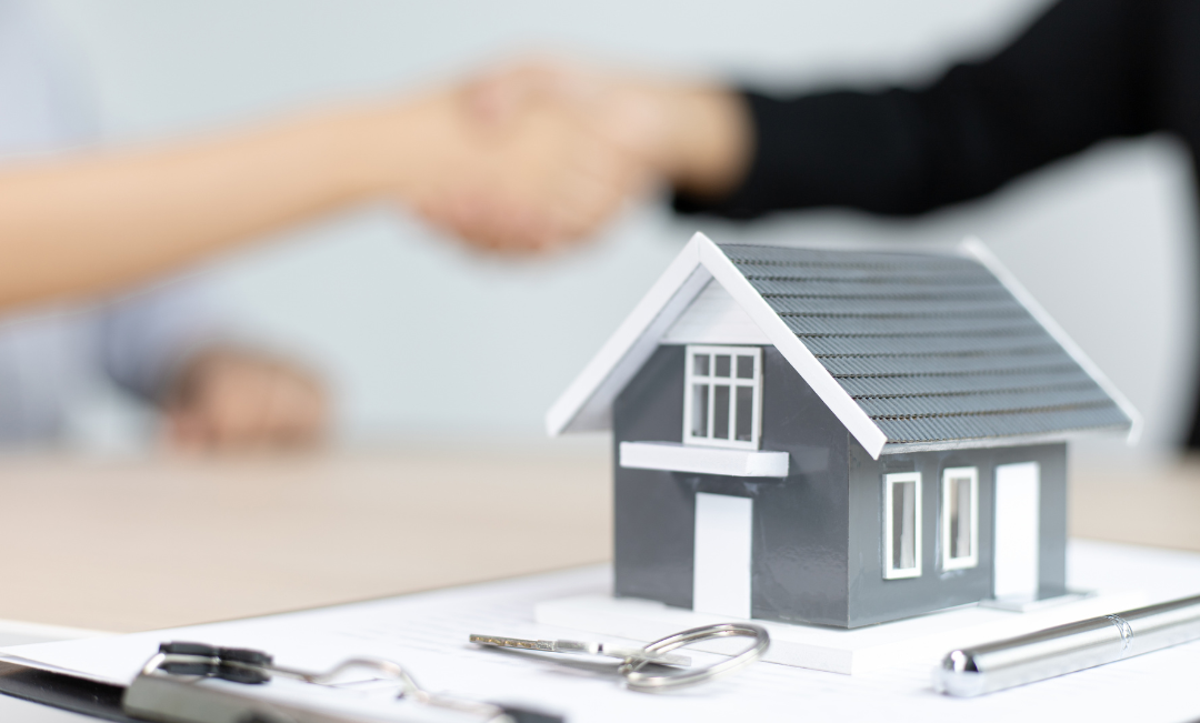 Property Development