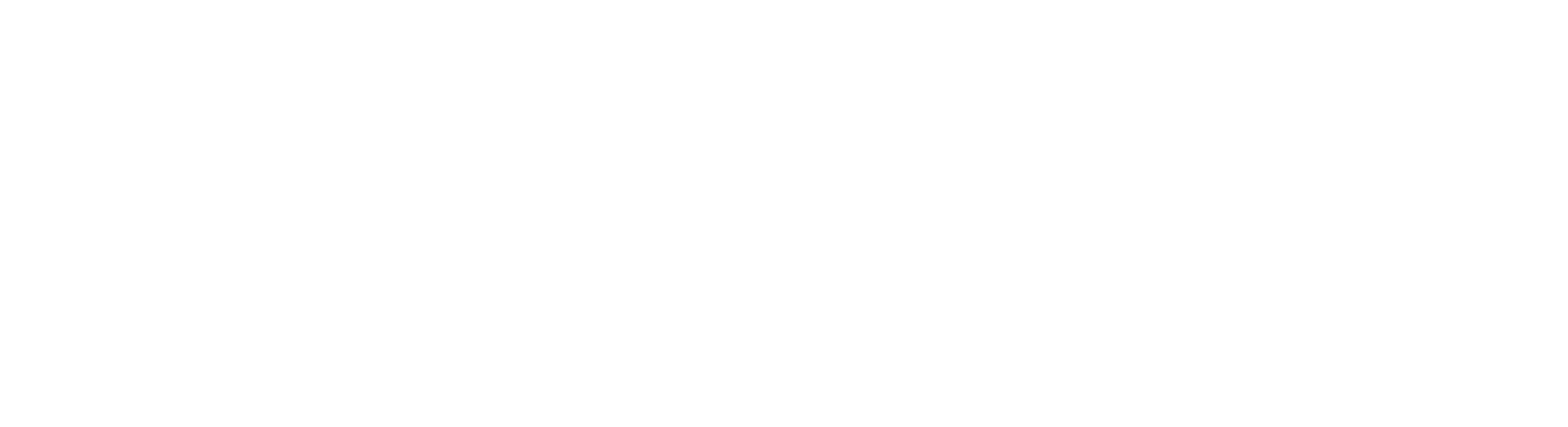 BSR-logo-white